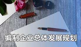 编制企业总体发展规划